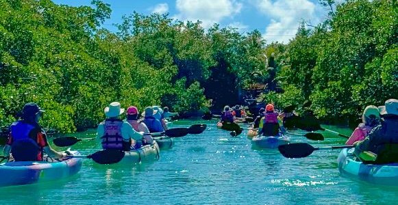 A group of kayakers paddling through a mangrove channel in clear turquoise water